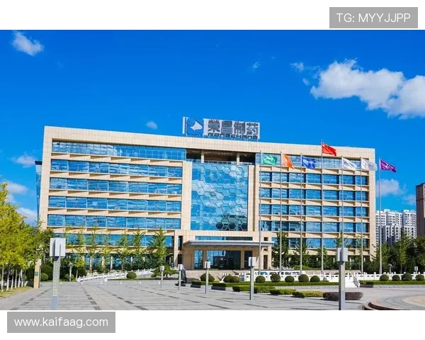 凯发集团网页版登录不了的常见原因及安全性检查建议