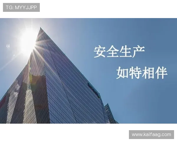 深入了解K8凯发国际站的安全保障措施确保玩家资金与信息安全